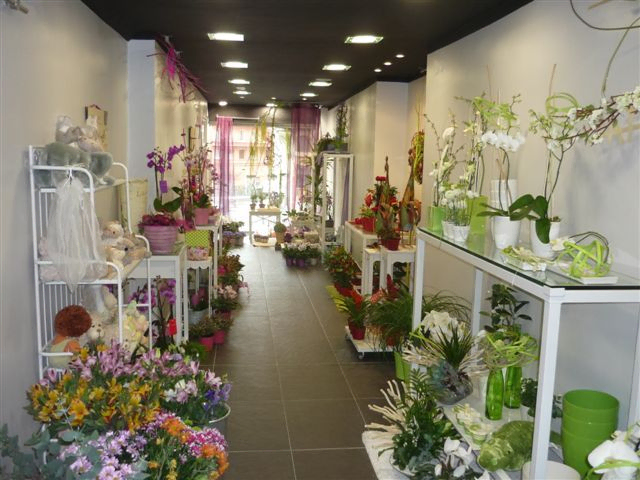 Interiorismo Atrium floristería